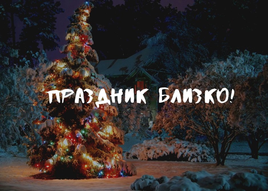 Праздники в ноябре