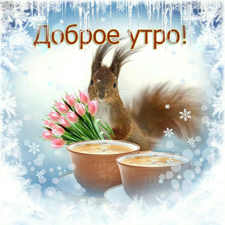 С добрым утром понедельника