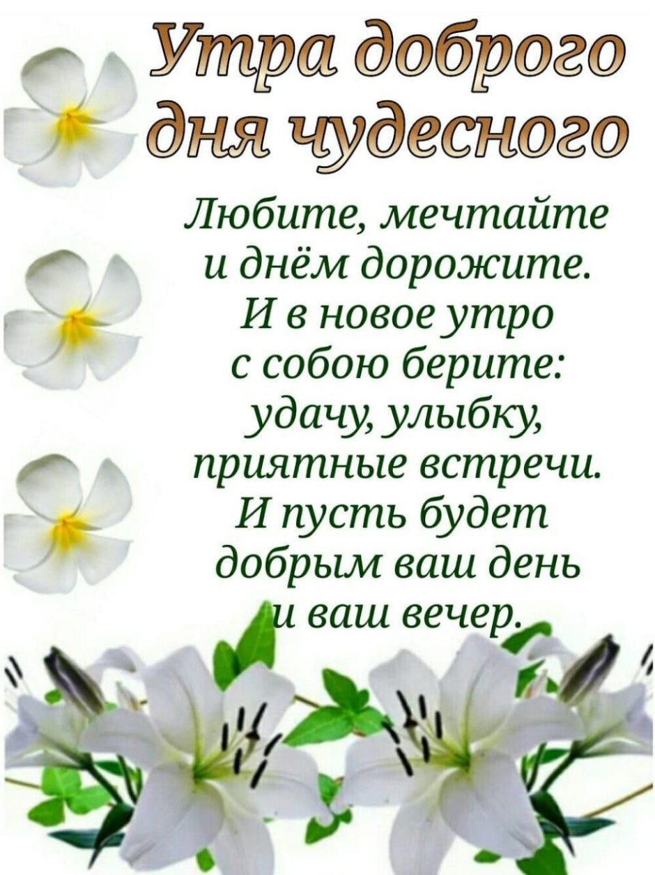 Утра дня пожелания