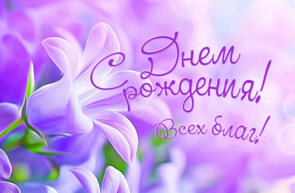 Поздравляю с днём рождения