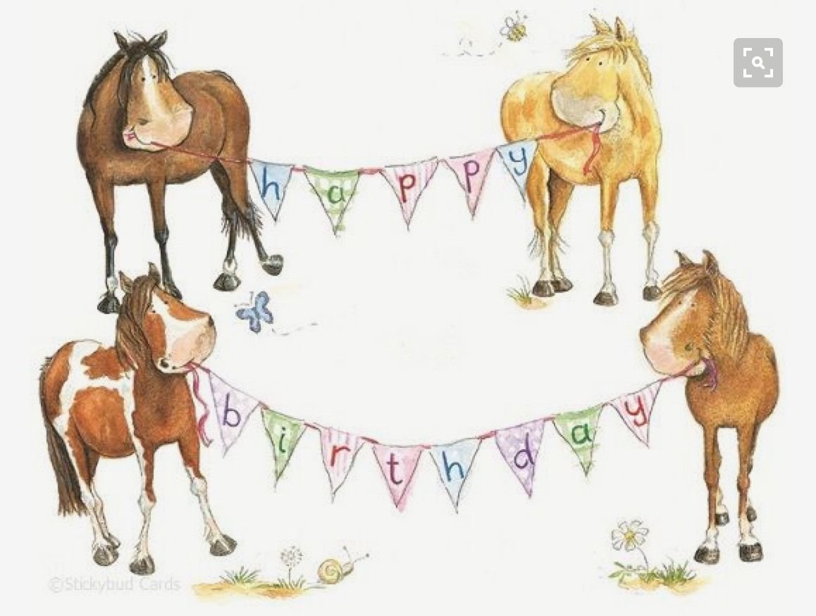 Лошадка открытки. С днем рождения лошадка. С днём рождения с лошадью. Открытка с днём рождения с лошадью. Открытки с изображением лошадей.