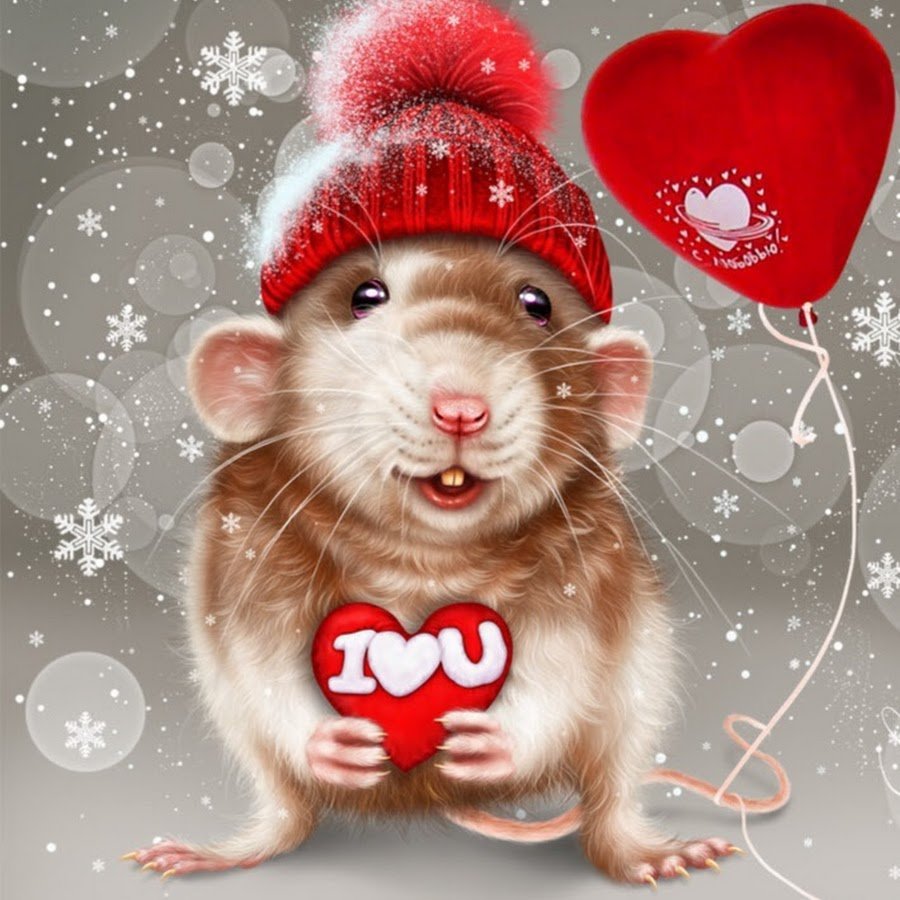 Крыса в новогодней шапочке