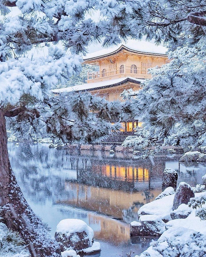 Кинкакудзи Киото зимой