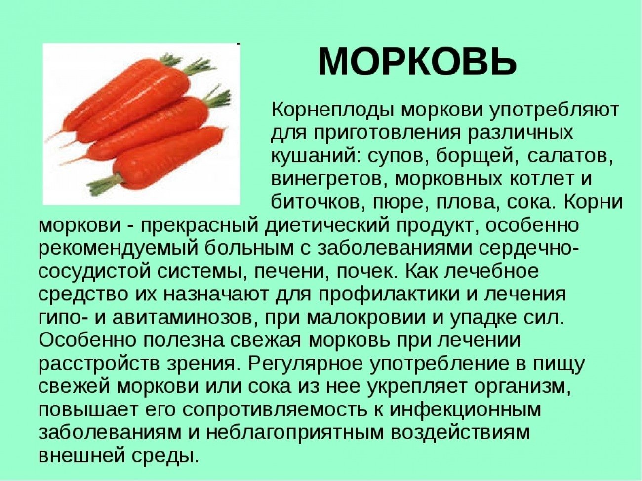 Почему нельзя морковь. Описание морковки. Доклад о морковке. Информация про морковь. Рассказать про морковь.