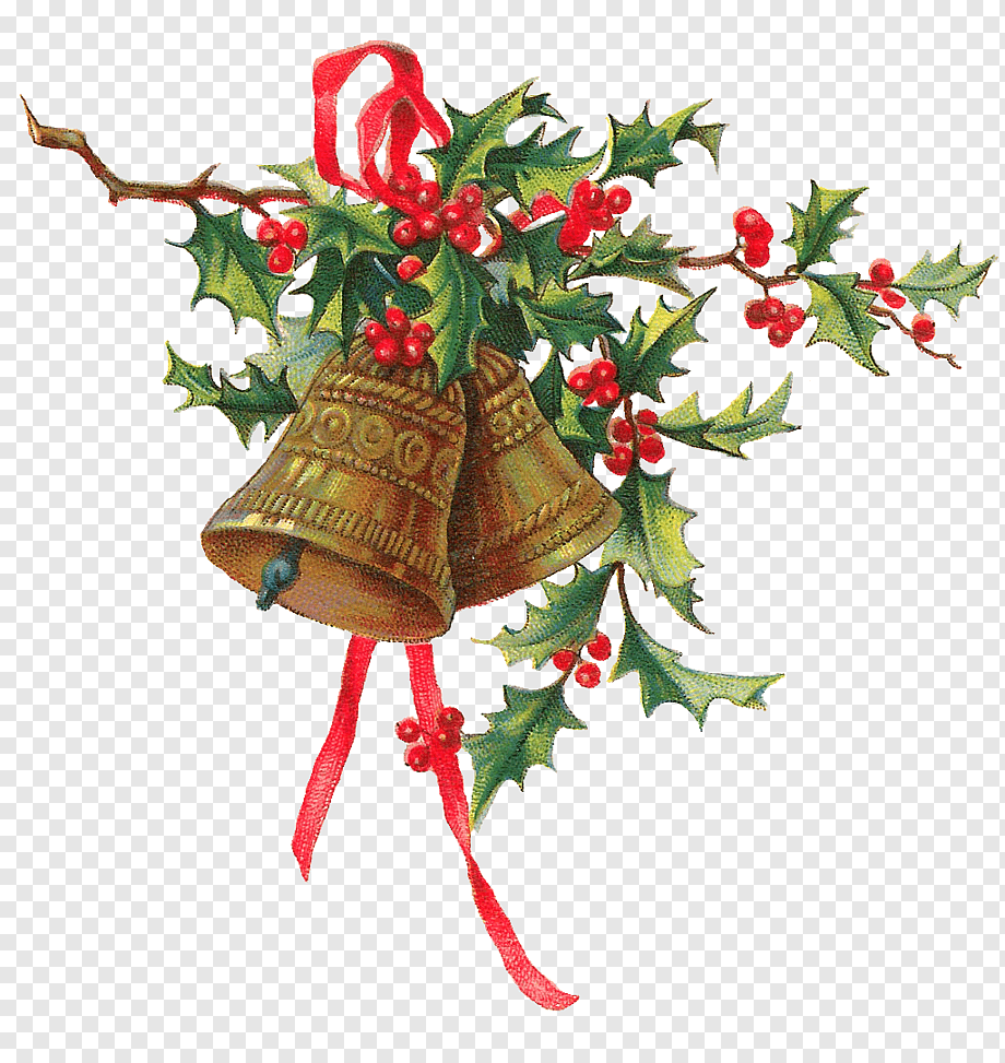 Обложка Рождество в Эвергрине звенят колокола (2020)