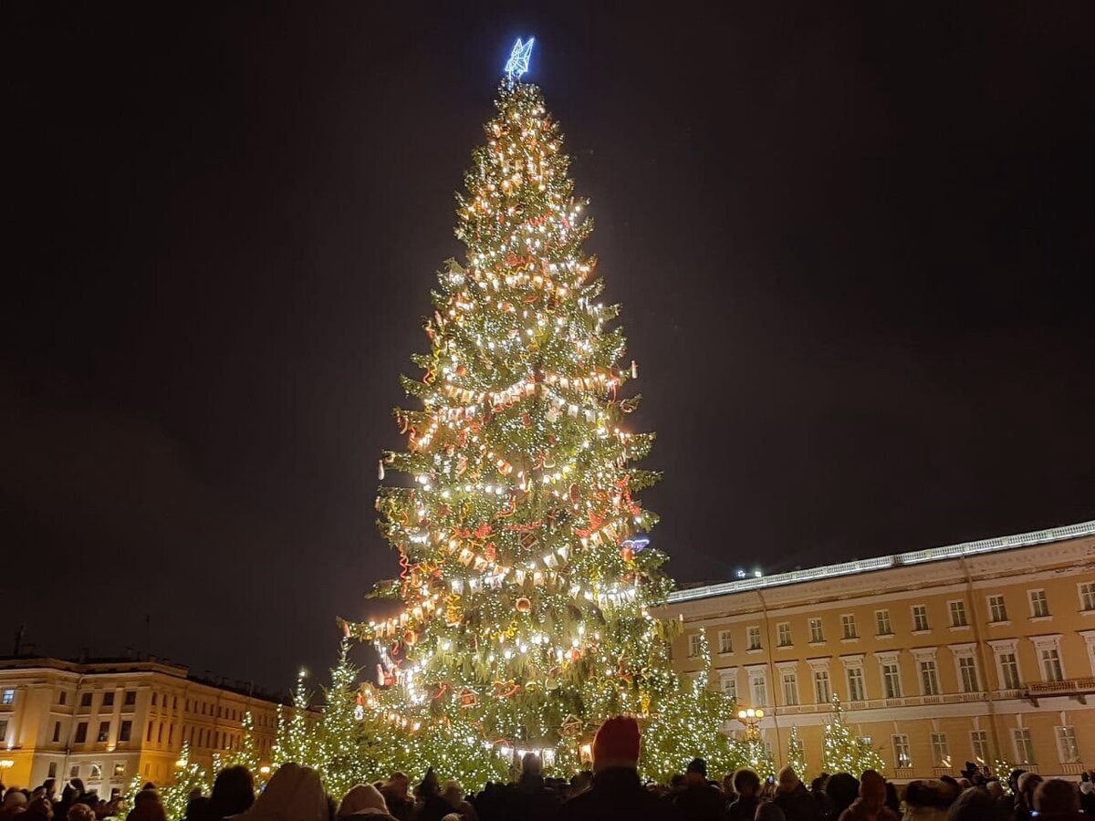 елка в дворцовой площади