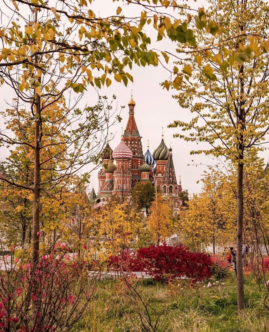 Осенняя Москва МГУ