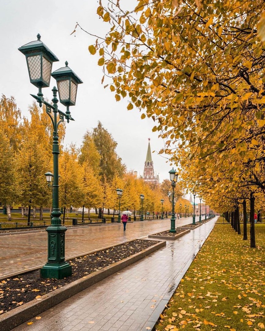 Александровский сад Москва осень