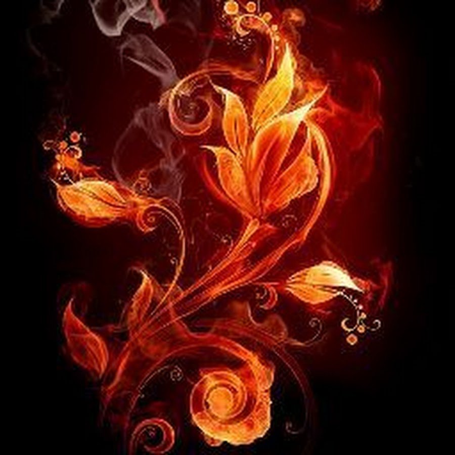 Огненный цветок на прозрачном фоне