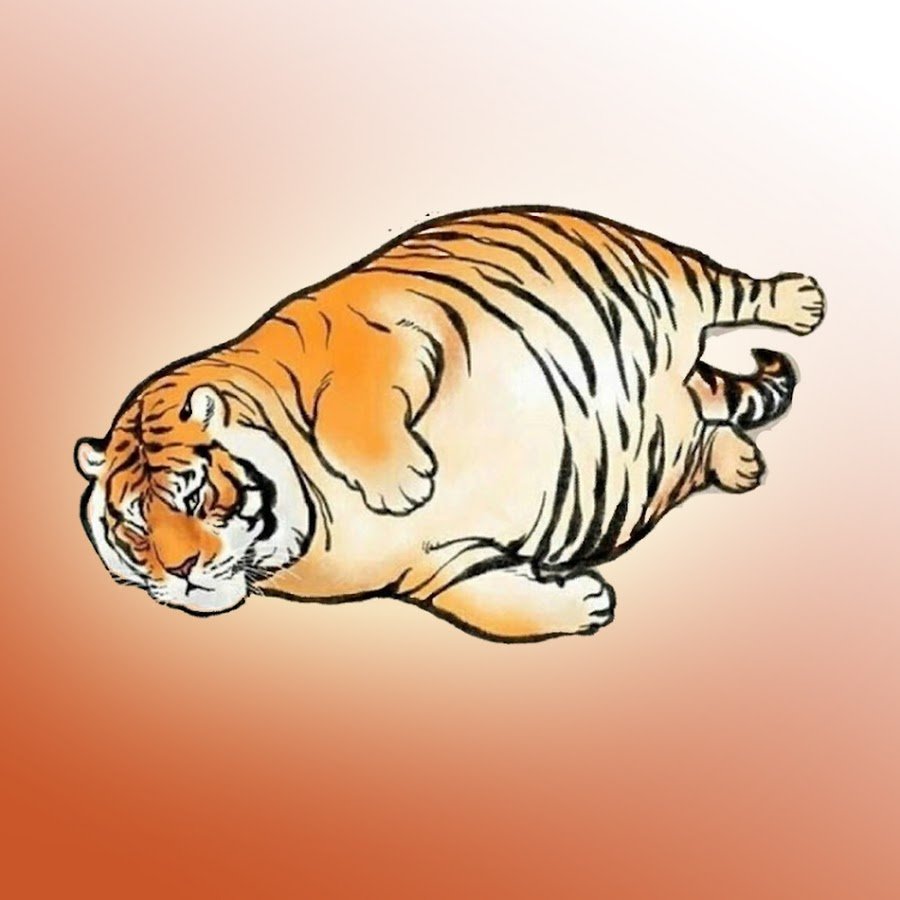 Уссурийский тигр толстый