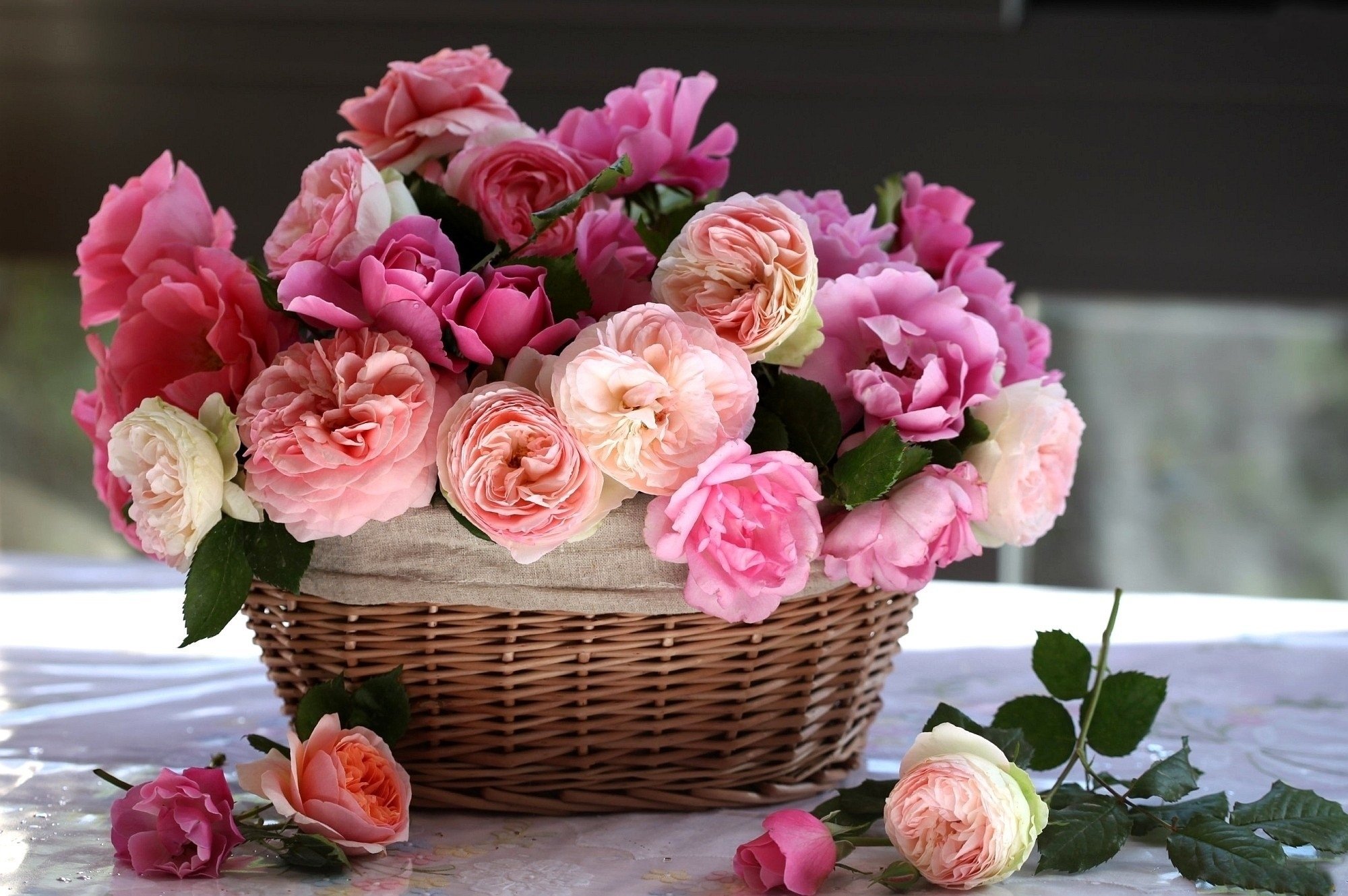 Песня я подарю тебе розы пионы. Цветы в корзине. Пионы в корзинке. Красивый букет. Красивые цветы в корзинке.