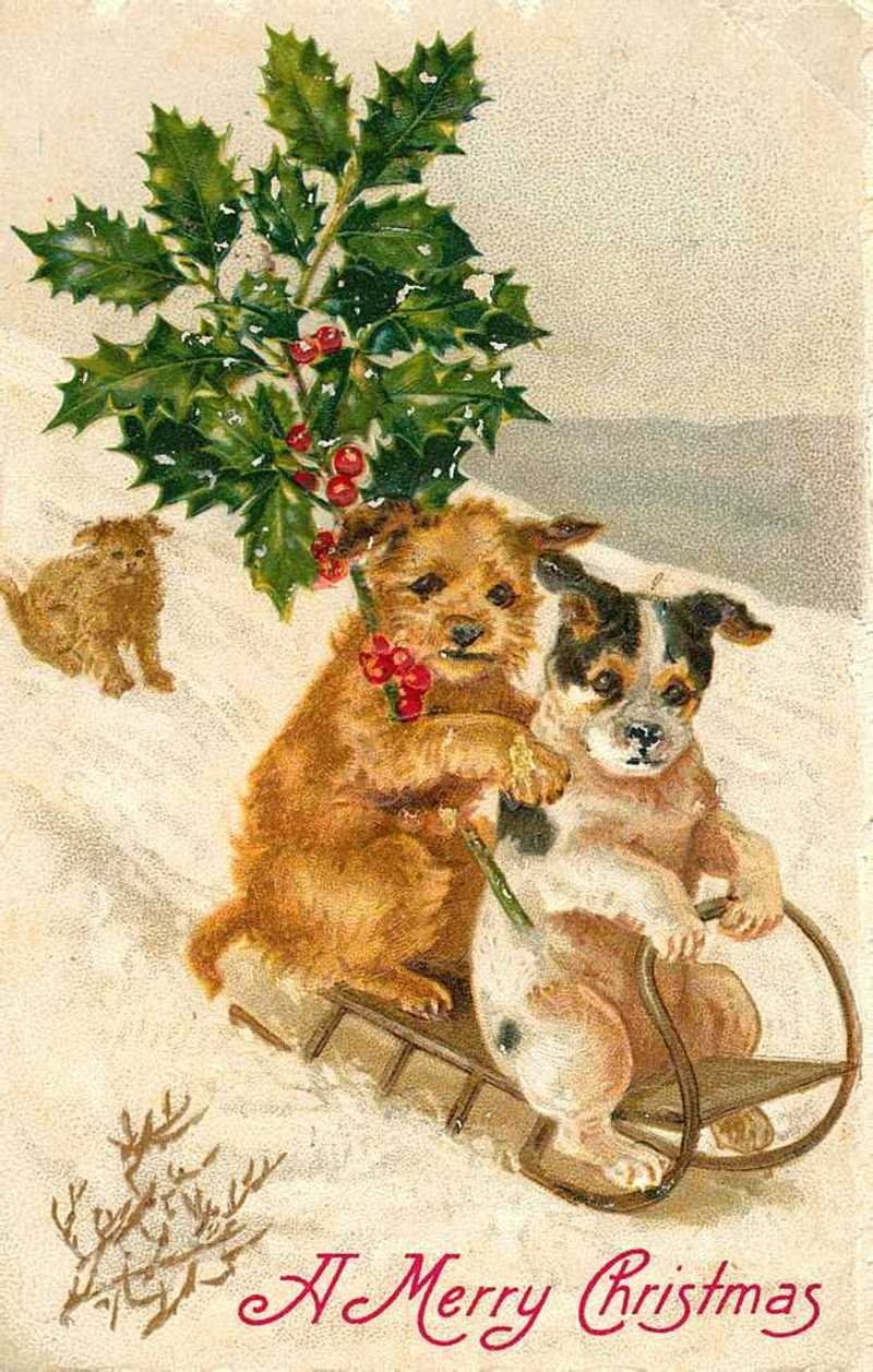 Старинные открытки с собаками