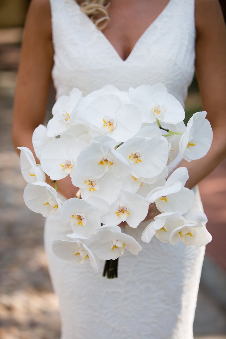 Орхидея невеста