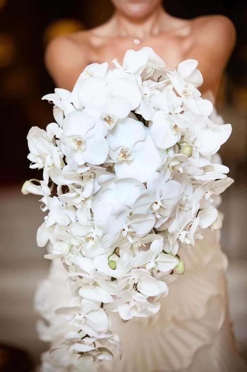 Букет невесты из орхидей фаленопсис