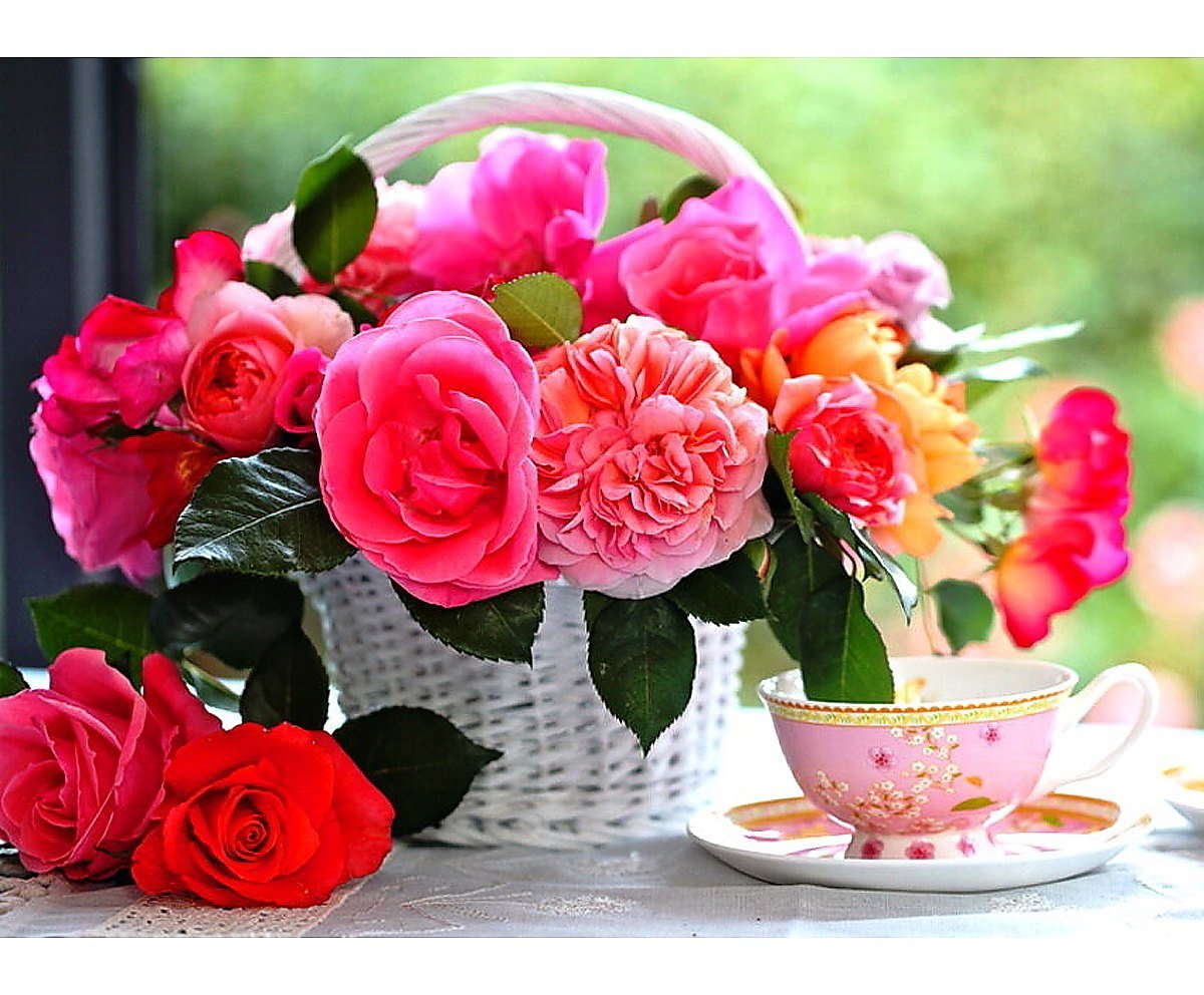 Прекрасного утра картинки красивые. Цветы для настроения. Прекрасного настроения с цветами. Утренние цветы для дамы. Цветочного настроения на весь день.