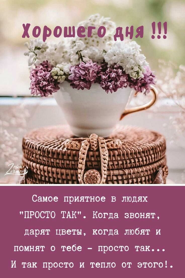 Стихи про утро