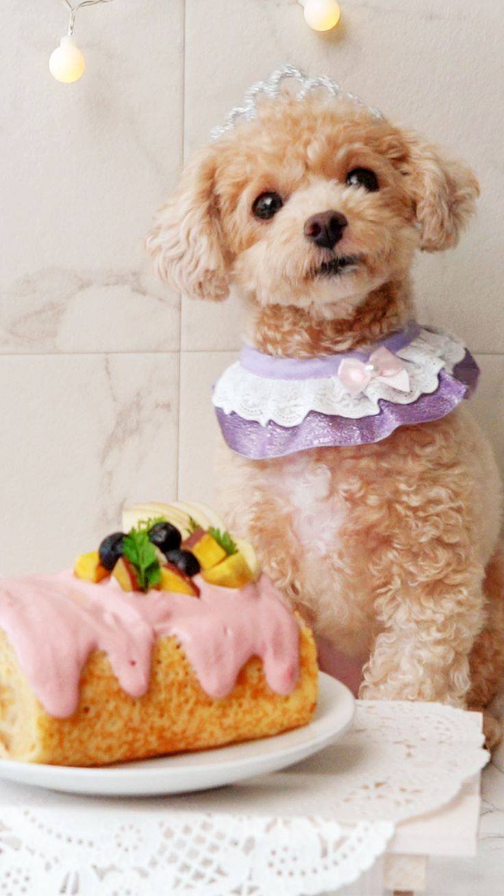 Торт с собаками реалистичный