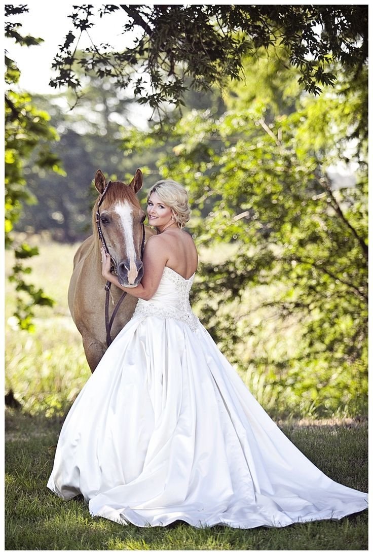 Свадьба платье лошади