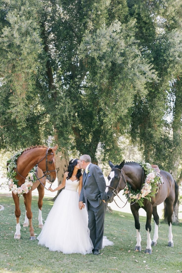 Лошадиная свадьба
