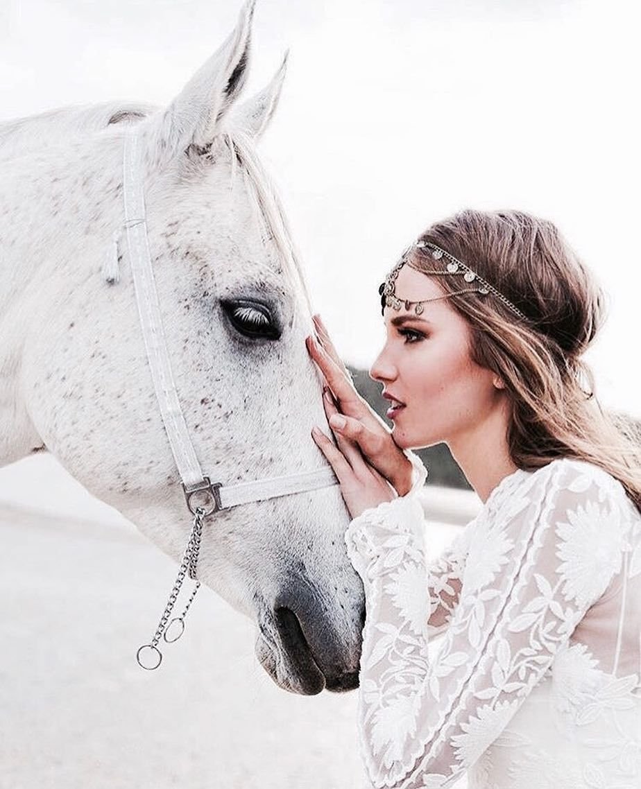 Украшение лошади для свадьбы