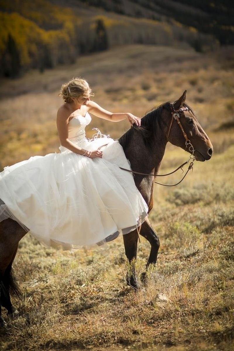 Свадебная прогулка на лошадях
