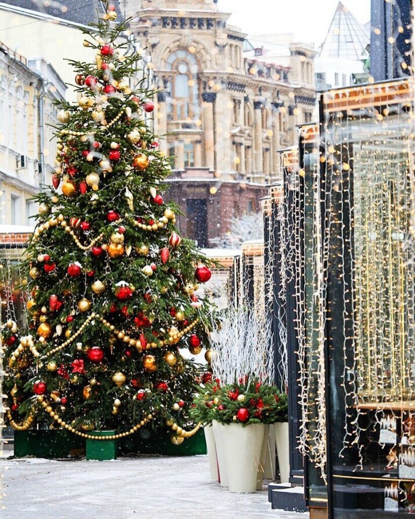 Рождественские елки в Европе
