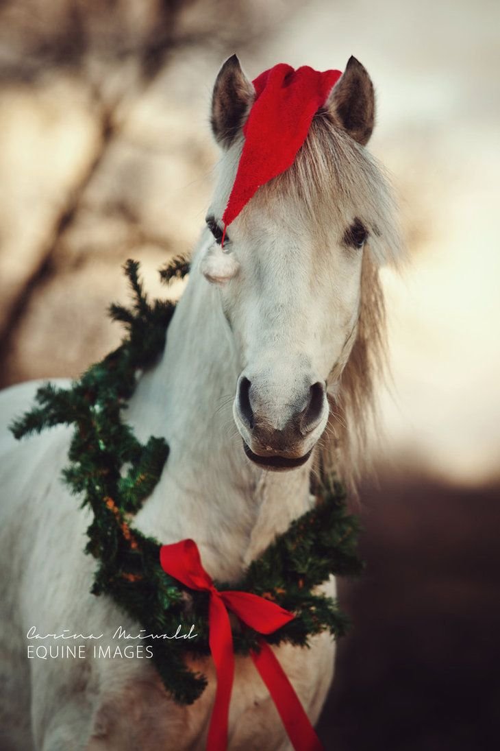 Лошадь с новогодним венком