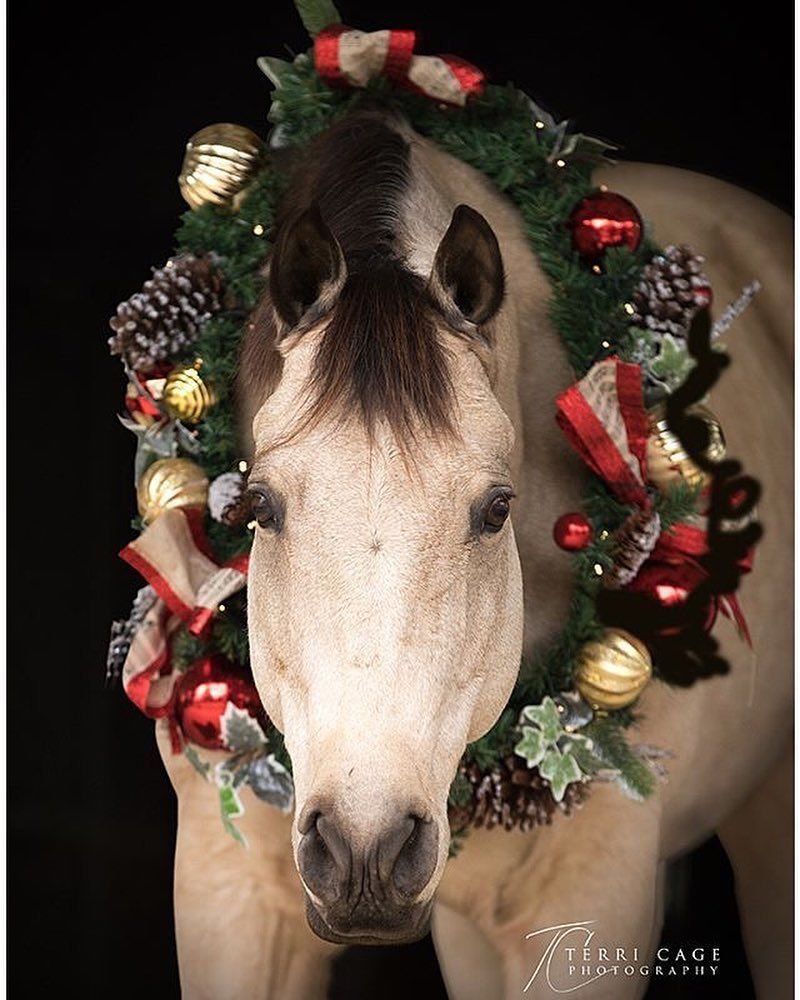 Лошадь с новогодним венком