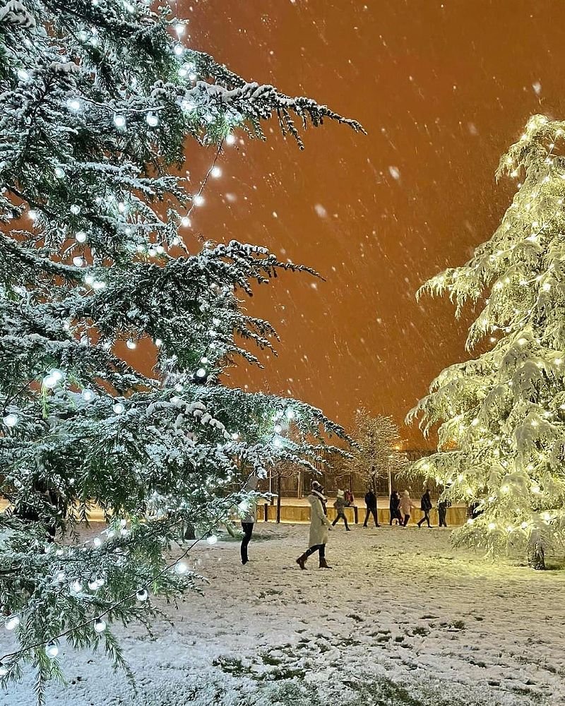 Снегопад в Краснодаре