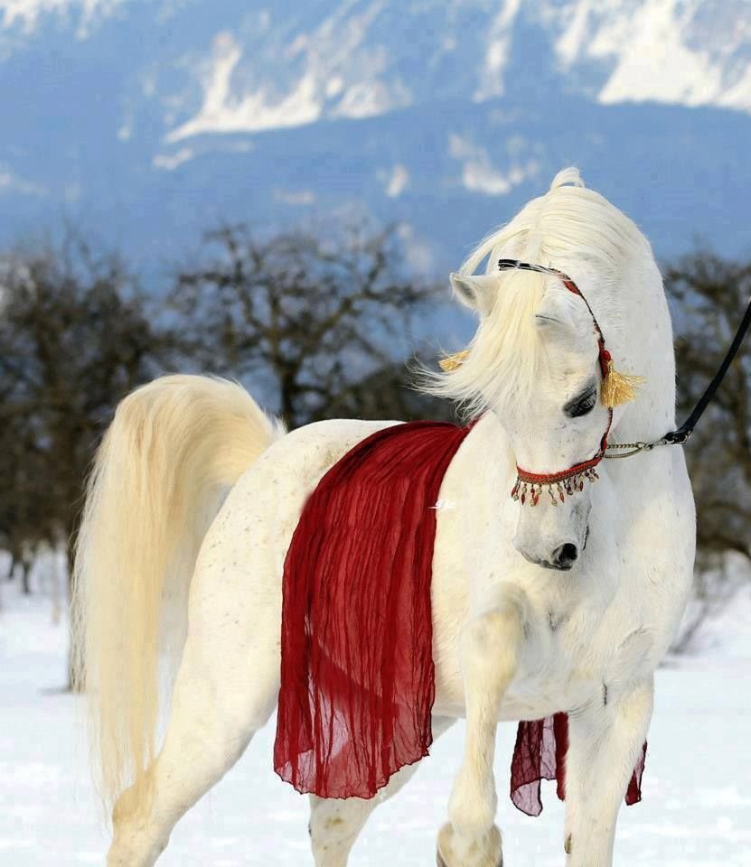 Новогодняя лошадь
