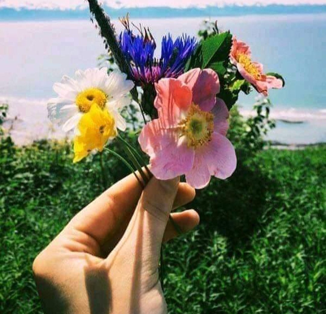 Букетик цветов в руке