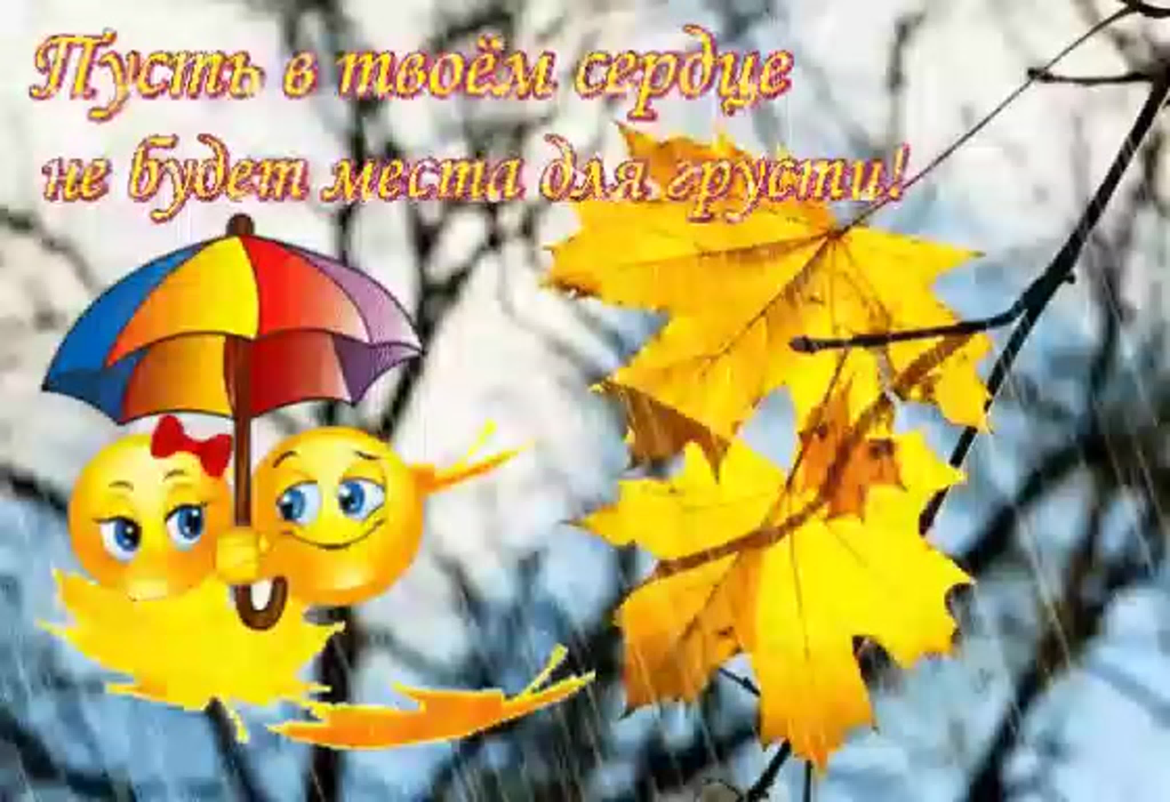 Счастья здоровья в любую погоду. Осеннее настроение. С последним днем осени. Хорошего настроения в дождливую осень. Хорошего дня и отличного настроения осень.