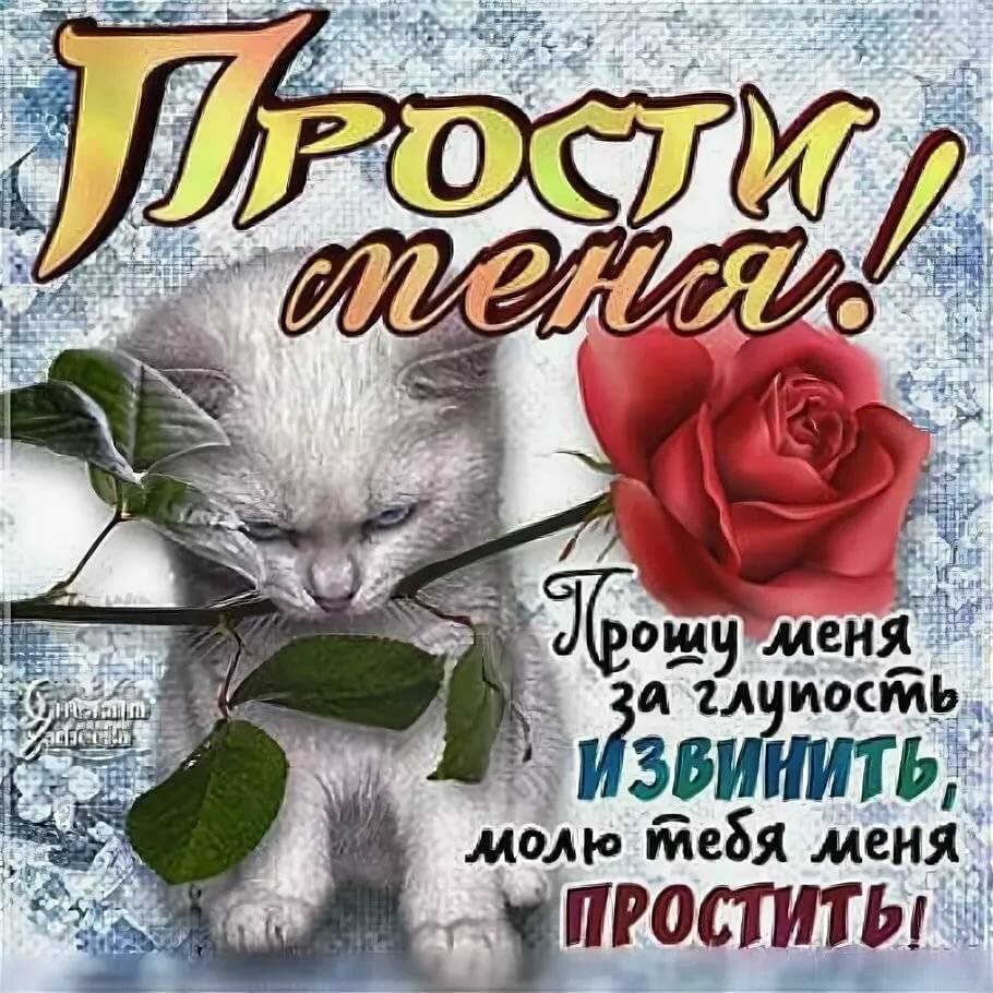 Прости меня любимый