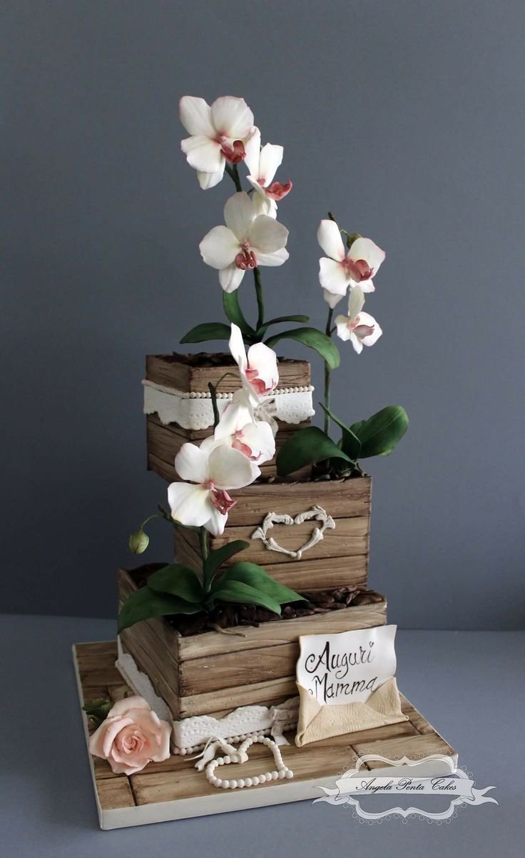 Торт горшочек с орхидеями