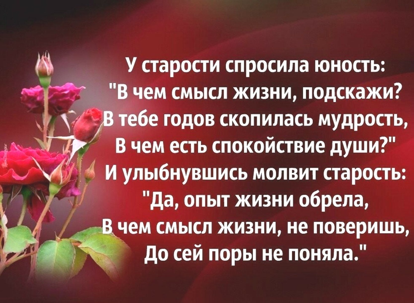 Стих жизненный со смыслом про жизнь. Красивые стихи о жизни. Стихи о жизни со смыслом. Стихи о жизни короткие и красивые. Стихи о жизни со смыслом короткие.