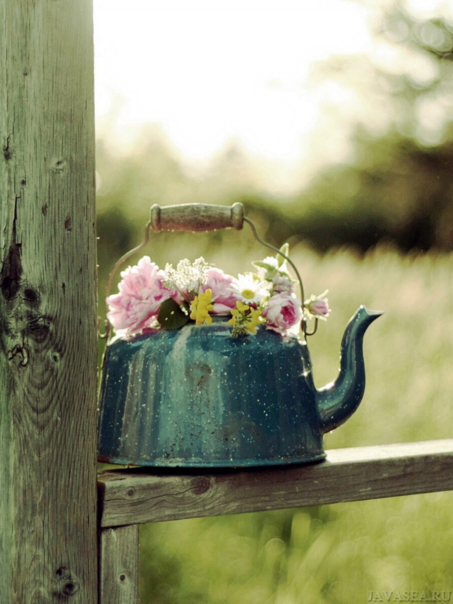 Цветы в чайнике