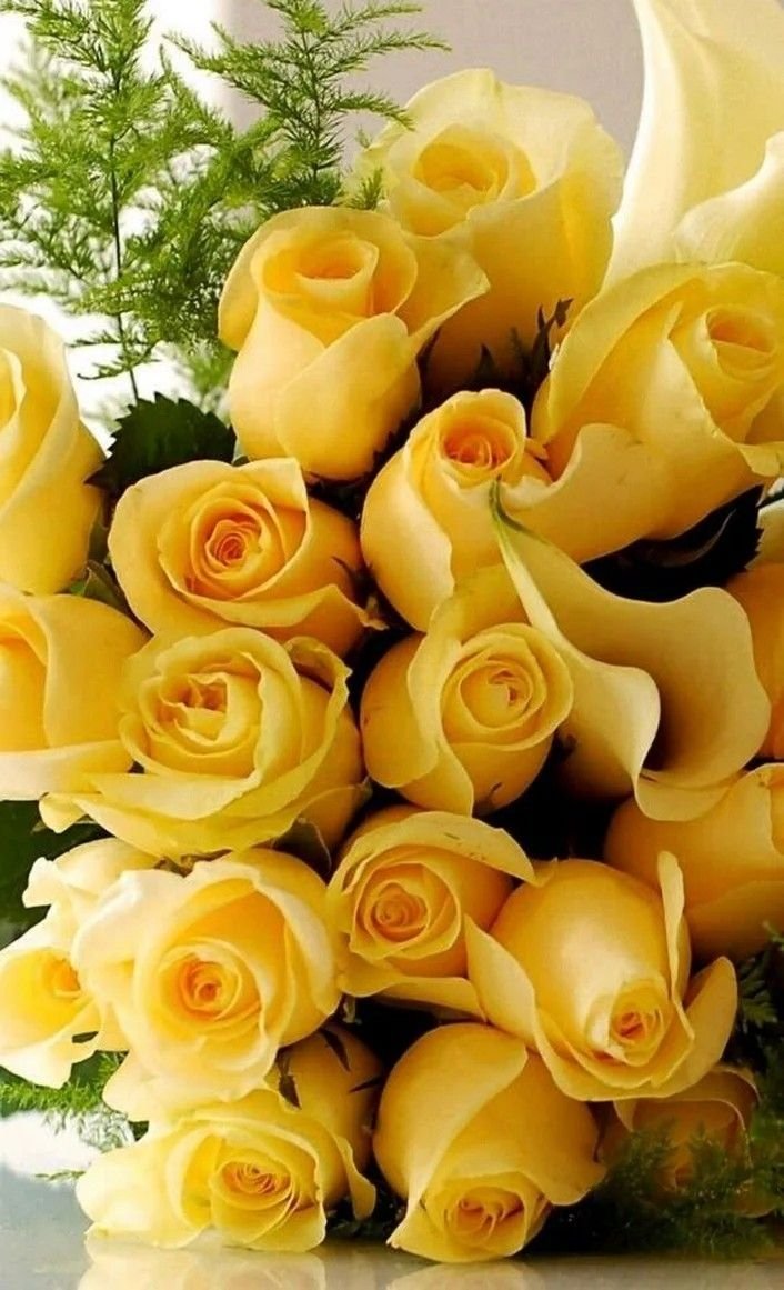 Шикарные желтые розы