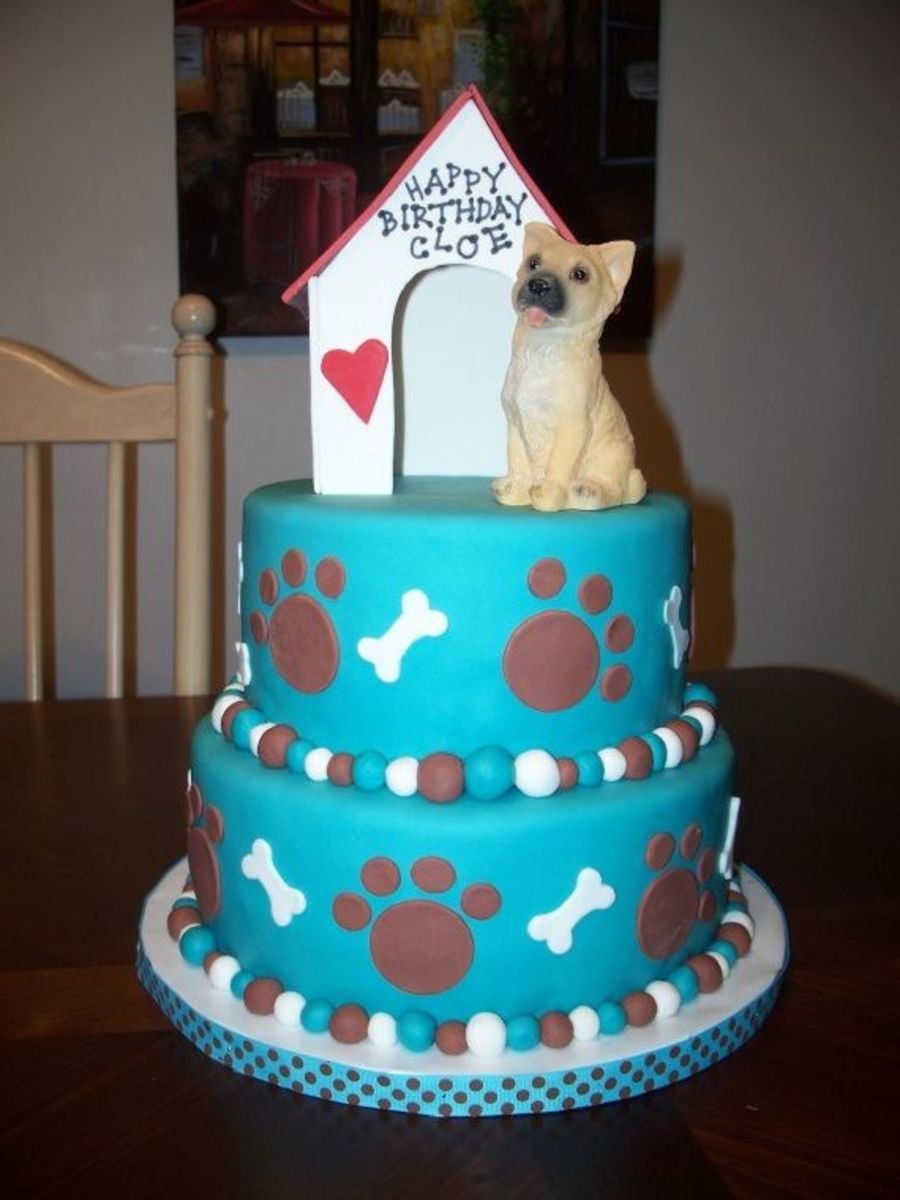 Торт косточка для собак