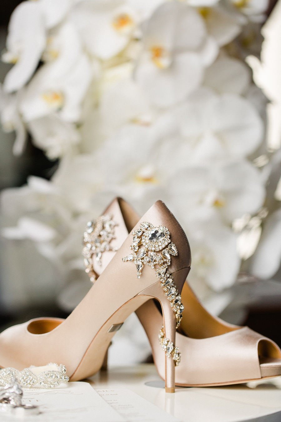 Mischka Bridal Shoes