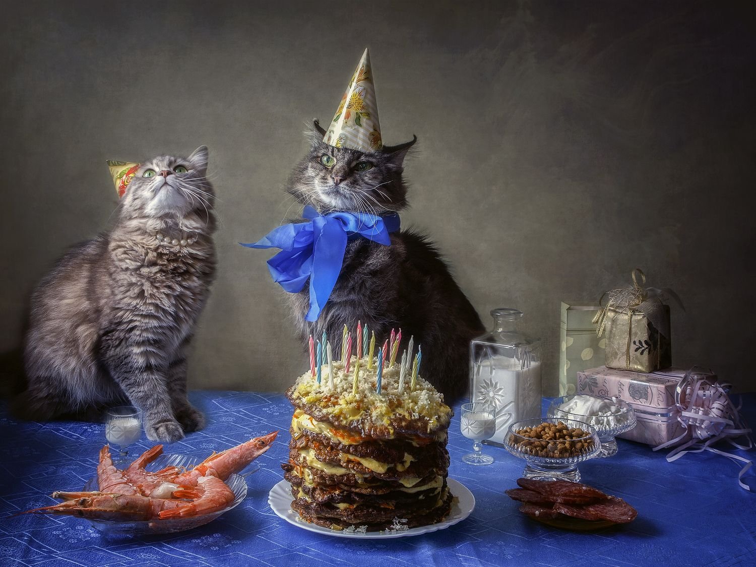 Звери на дне рождении. С днем рождения кот. С днём рождения с котиками. Праздничный котик. Кот праздник.