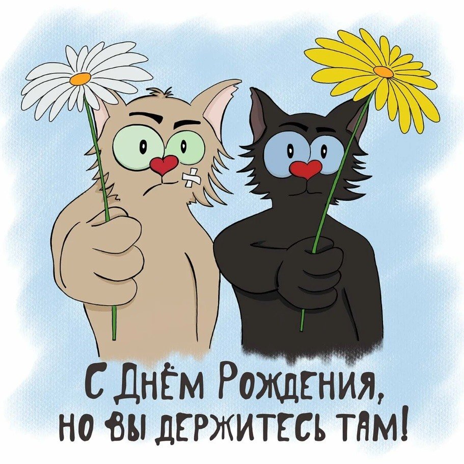 Смешные открытки с днем рождения