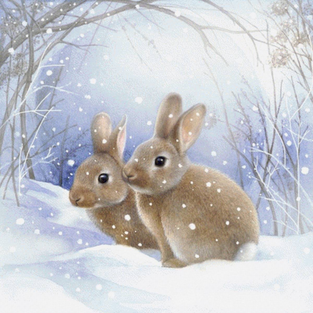 День зайца. Доброго зимнего дня. Доброе зимнее утро. Добрый день картинки зимние. Прекрасного зимнего дея.