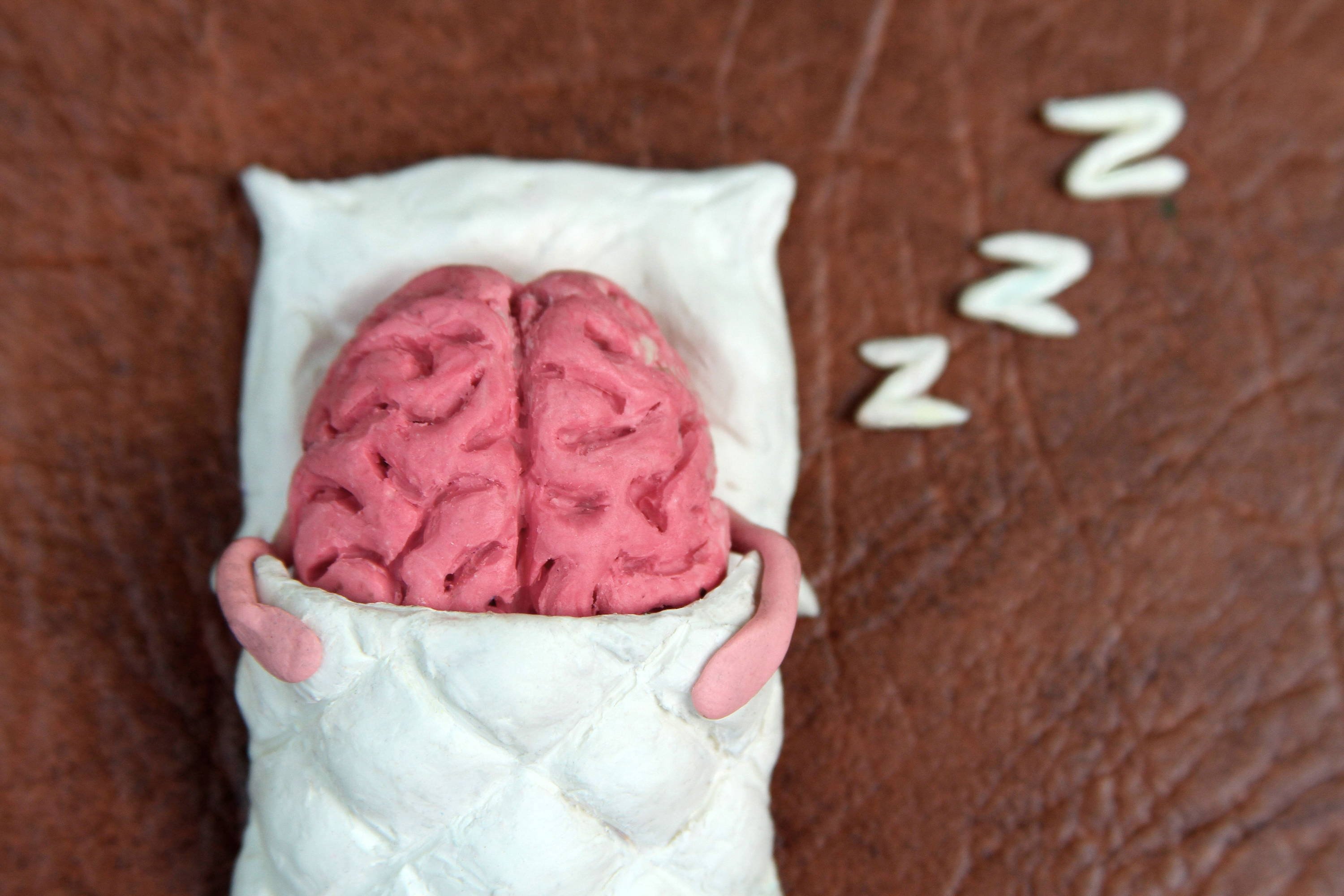 Sleeping brains. Подушка мозги. Подушка в виде мозга. Мозг отдыхает. Мозг из пластилина.