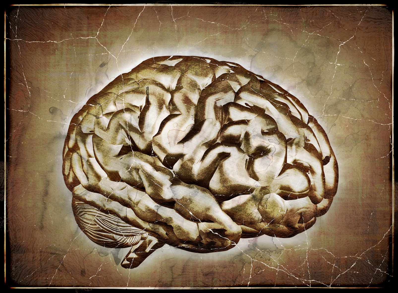 Brain год. Мозг обои. Мозг рисовать. Мозг дзен. Нейробиология рисунки.