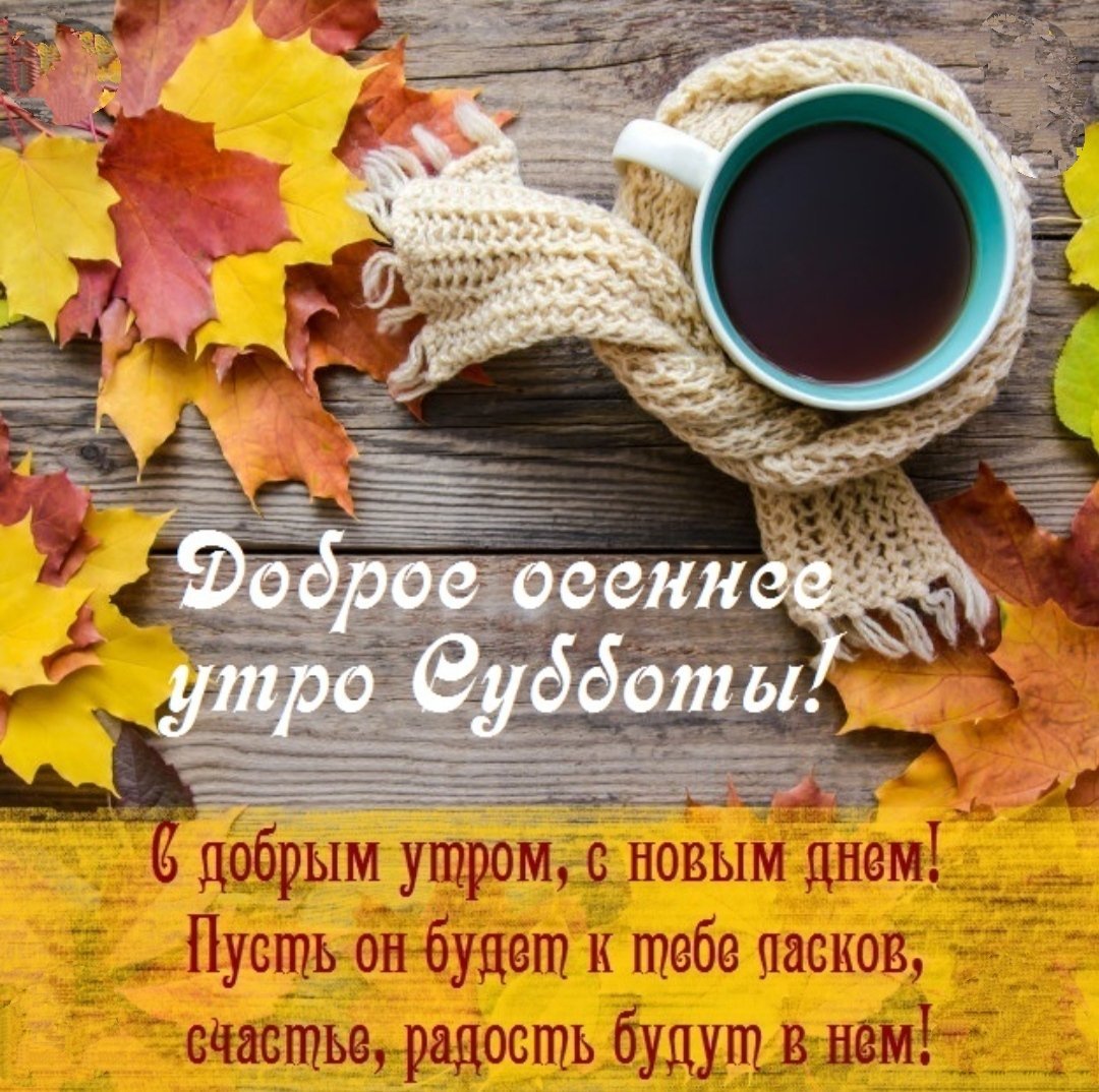 Осенние поздравления с добрым утром. Доброе осеннее утро понедельника. С добрым утром осенним октября. Доброе утро понедельника осенние красивые. Пожелания с осенним утром.