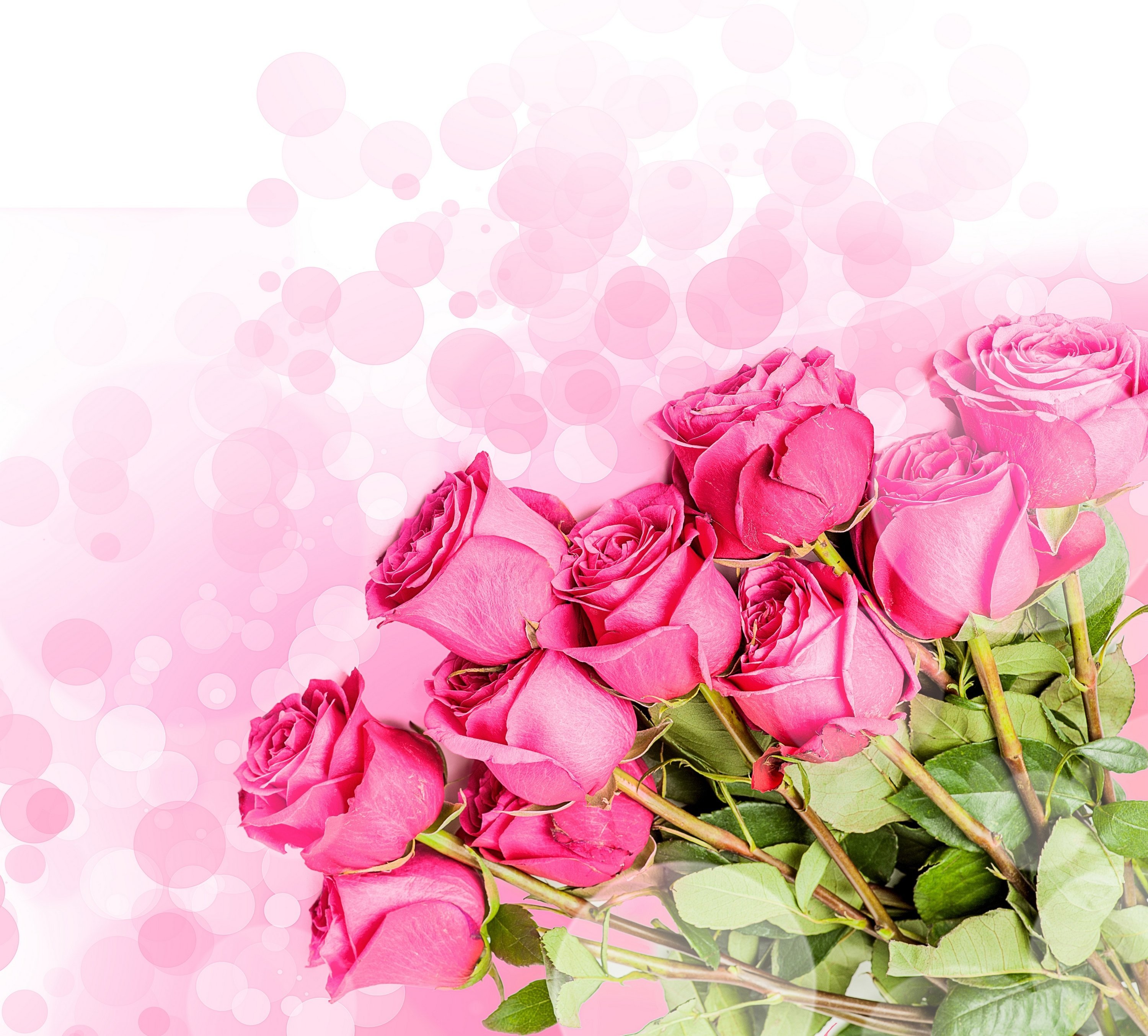 Поздравление с юбилеем цветами. Фон с цветами. Фон с цветами для открытки. Фон с цветами для поздравления. Розовые розы фон.