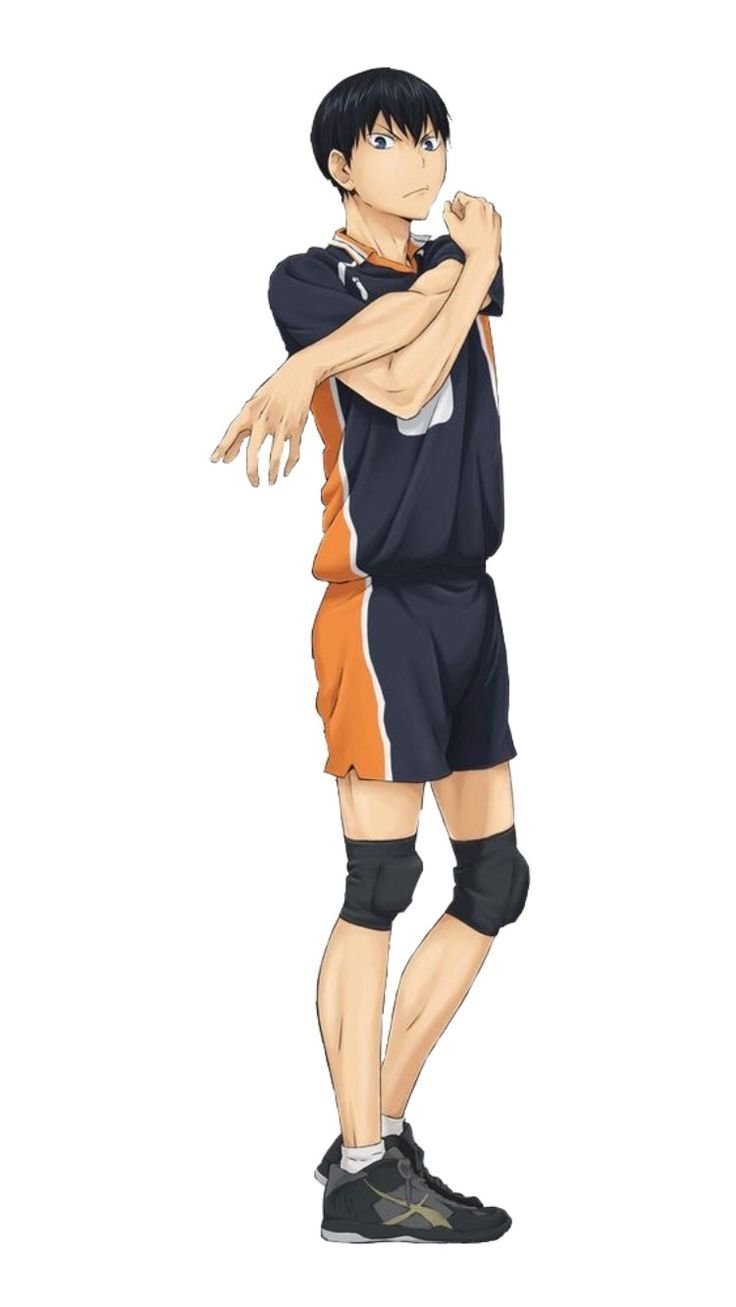 Волейбол персонажи Кагеяма
