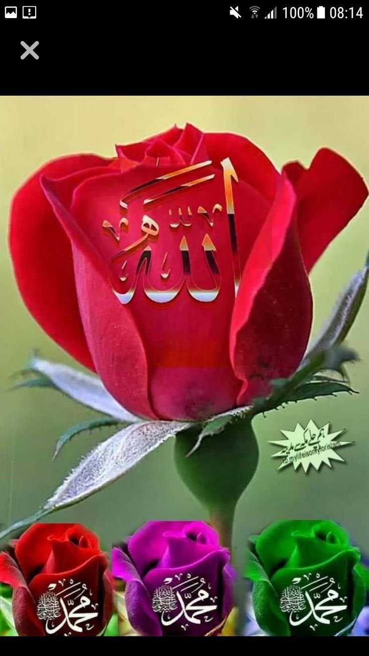 Красивые исламские цветы
