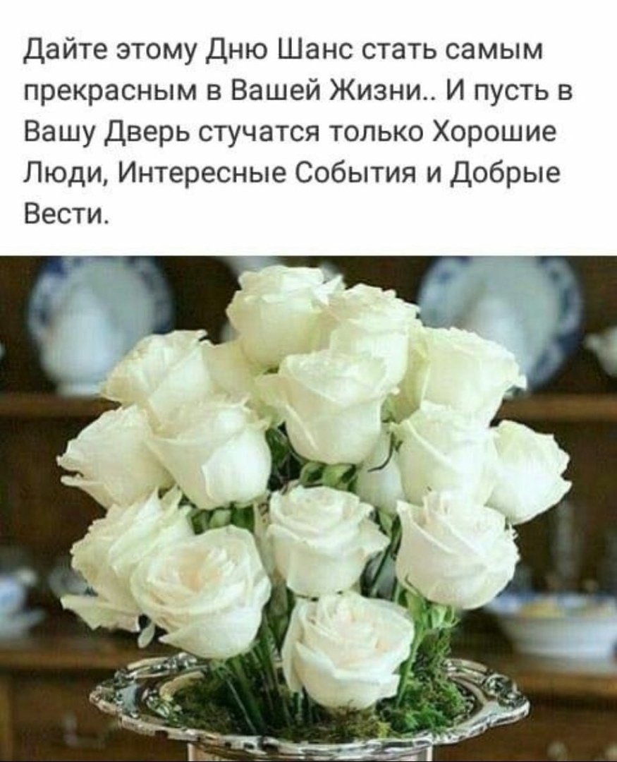 Белые розы с пожеланиями