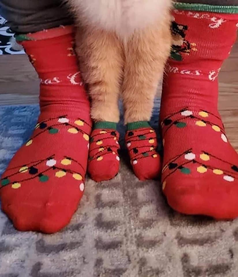 Christmas Socks Size